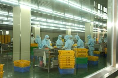 東莞道滘16家企業(yè)榮獲2022年度食品生產(chǎn)企業(yè)質(zhì)量獎，彰顯產(chǎn)業(yè)高質(zhì)量發(fā)展