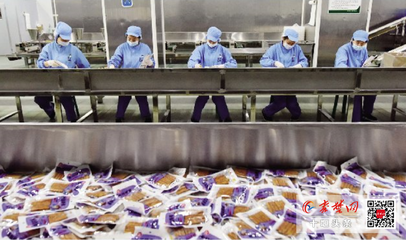 農(nóng)民合作社總量位居全省第四 鄉(xiāng)村振興的生動實踐