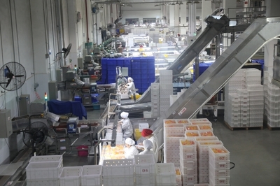 遂寧 以“智改數(shù)轉(zhuǎn)”為傳統(tǒng)產(chǎn)業(yè)“換芯”，驅(qū)動(dòng)食品銷售升級(jí)