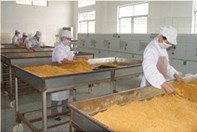 精選肉松批發 黃金松、原味、辣味、雞肉松一站式供應，量大優惠包郵